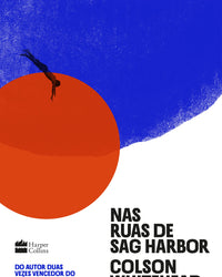 Nas ruas de Sag Harbor – Um romance de formação sobre raça, classe e masculinidade do vencedor do Prêmio Pulitzer