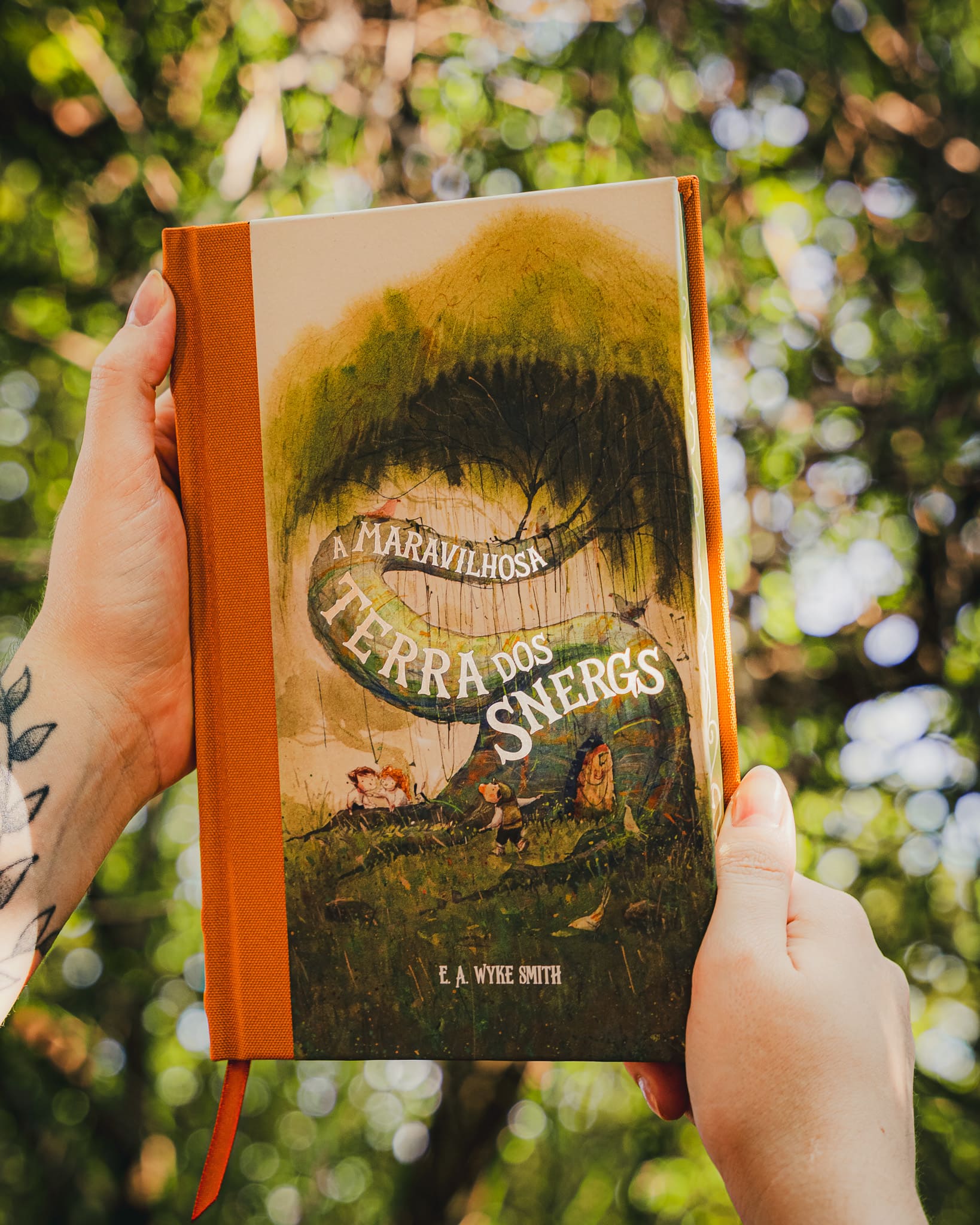 A maravilhosa terra dos Snergs (Feéria Clássica) – HarperCollins