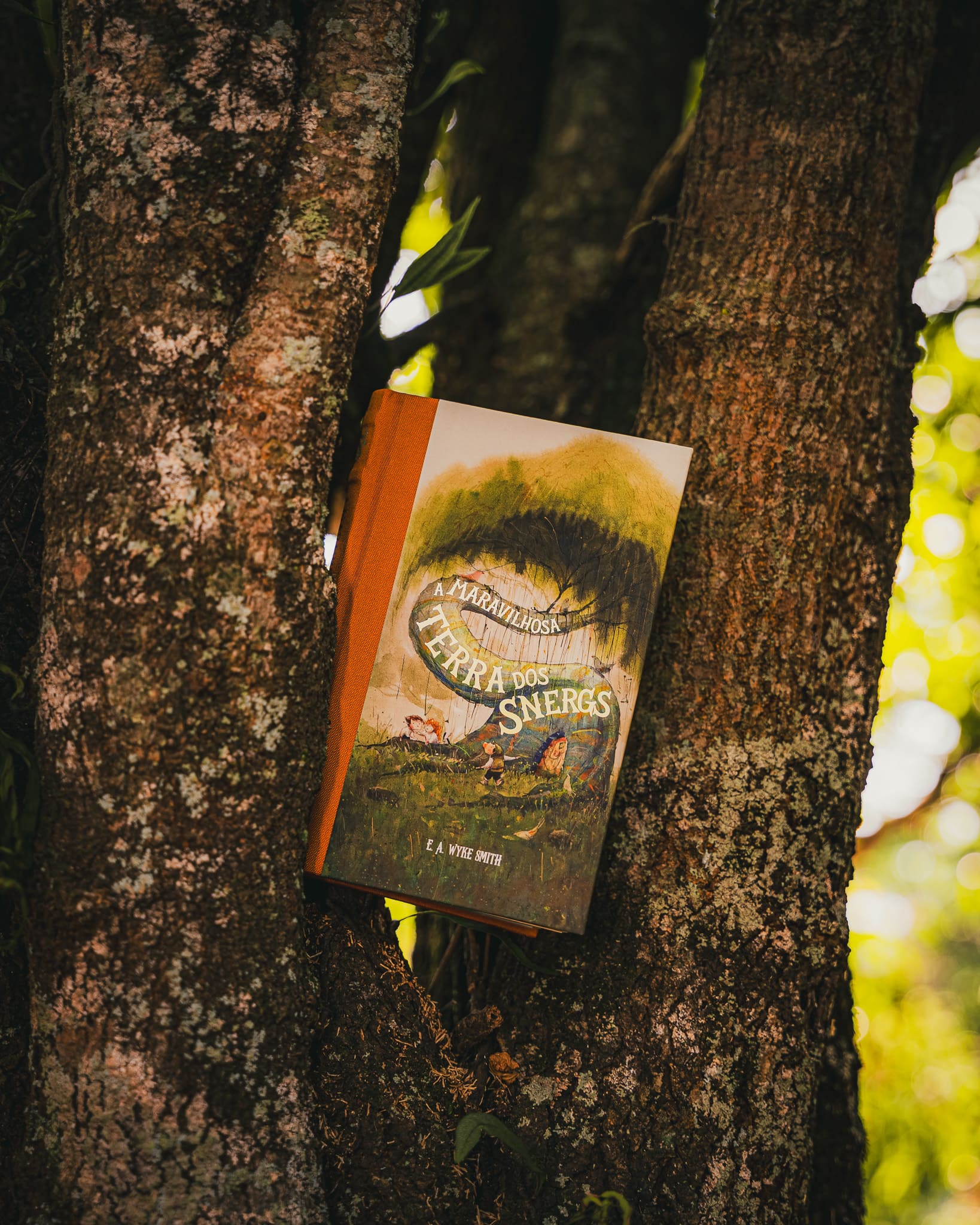A maravilhosa terra dos Snergs (Feéria Clássica) – HarperCollins