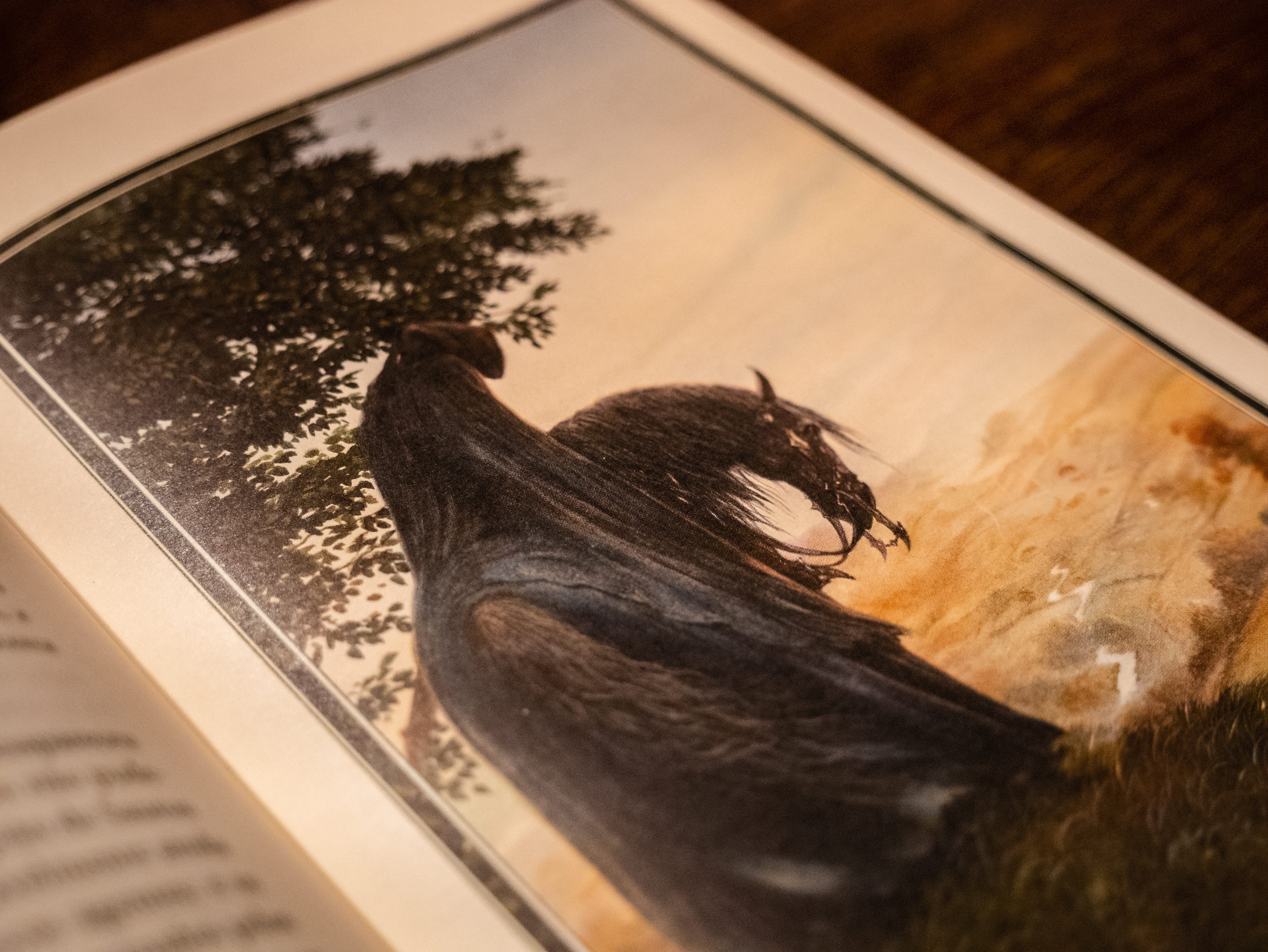 Contos inacabados de Númenor e da Terra-média – Edição com
